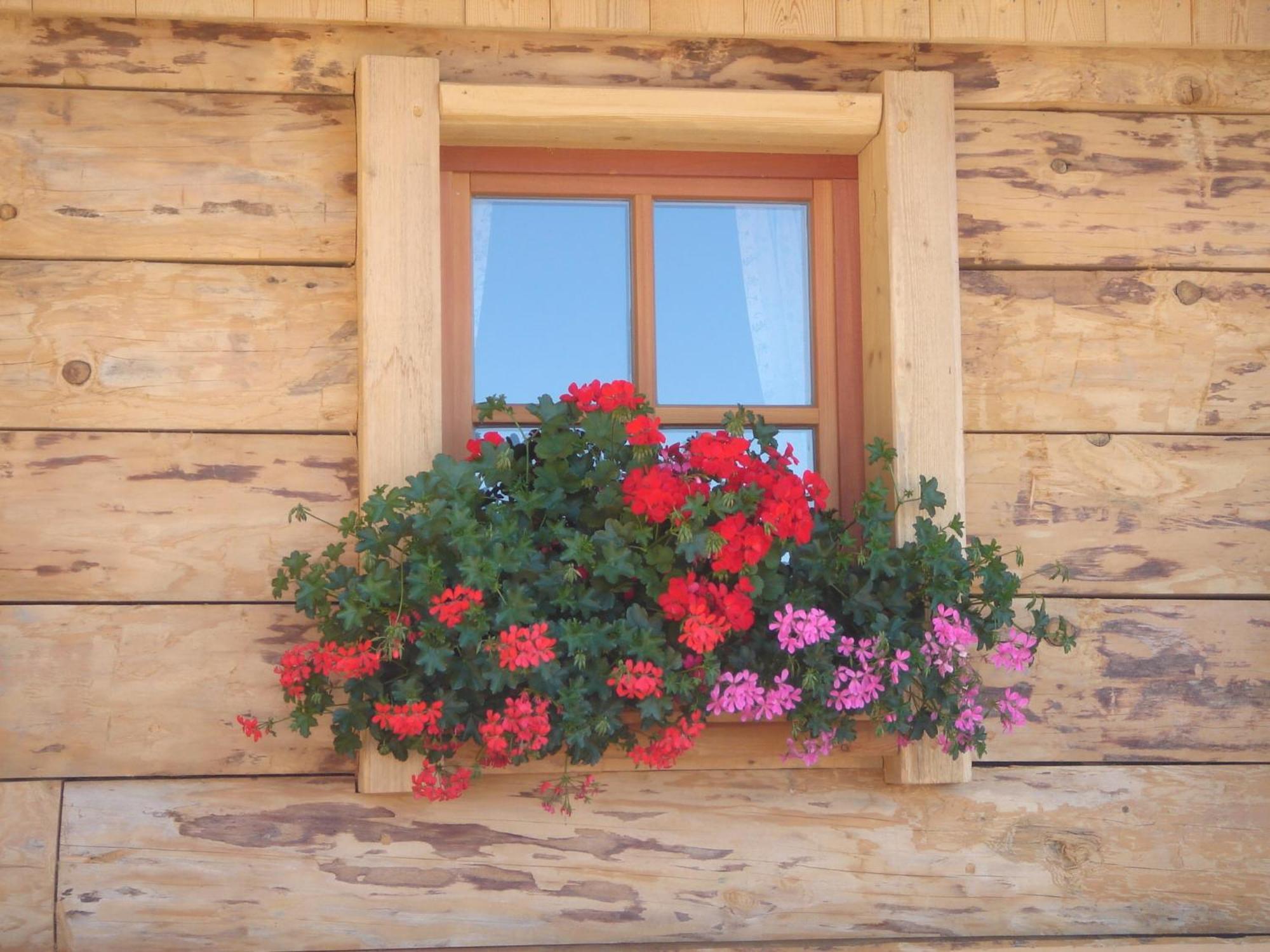 Hotel Haus Sonnleitn Sankt Johann im Pongau Exteriér fotografie